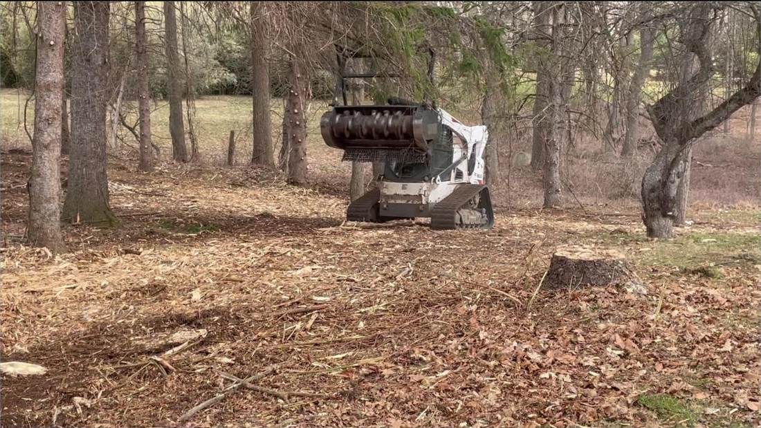 Tracked forestry mulcher clearing brush and stumps from a wooded lot