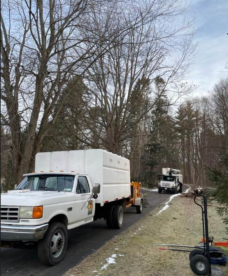 Chip truck and bucket truck on a residential removal
